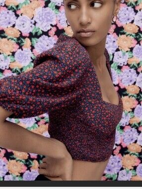 ZARA FLORAL CROP TOP SHORT PUFF SLEEVED SMOKEY SIDE NWT SIZE SMALL